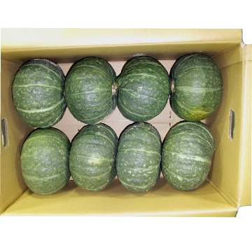 南瓜 / 野菜 | VFNマーケット